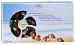 Конфеты Aimee Морские ракушки шоколадные с начинкой пралине 500г